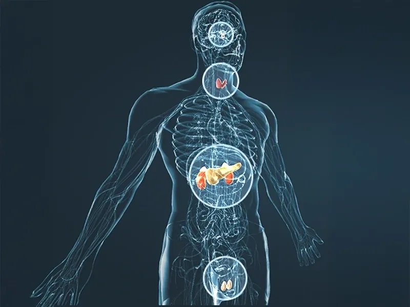 An X-ray style brand graphic of a man's body in blue light